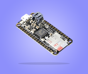 ARM Microcontroller